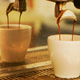 Illustration for article titled More Than Half of Wild Coffee Species Could Go Extinct, and It’s Our Fault